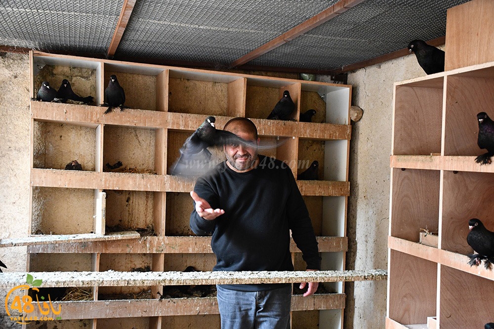 zohdi 3ashoor (4).jpeg